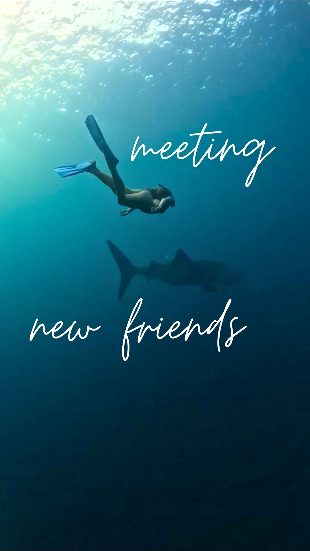 Meting New Friends