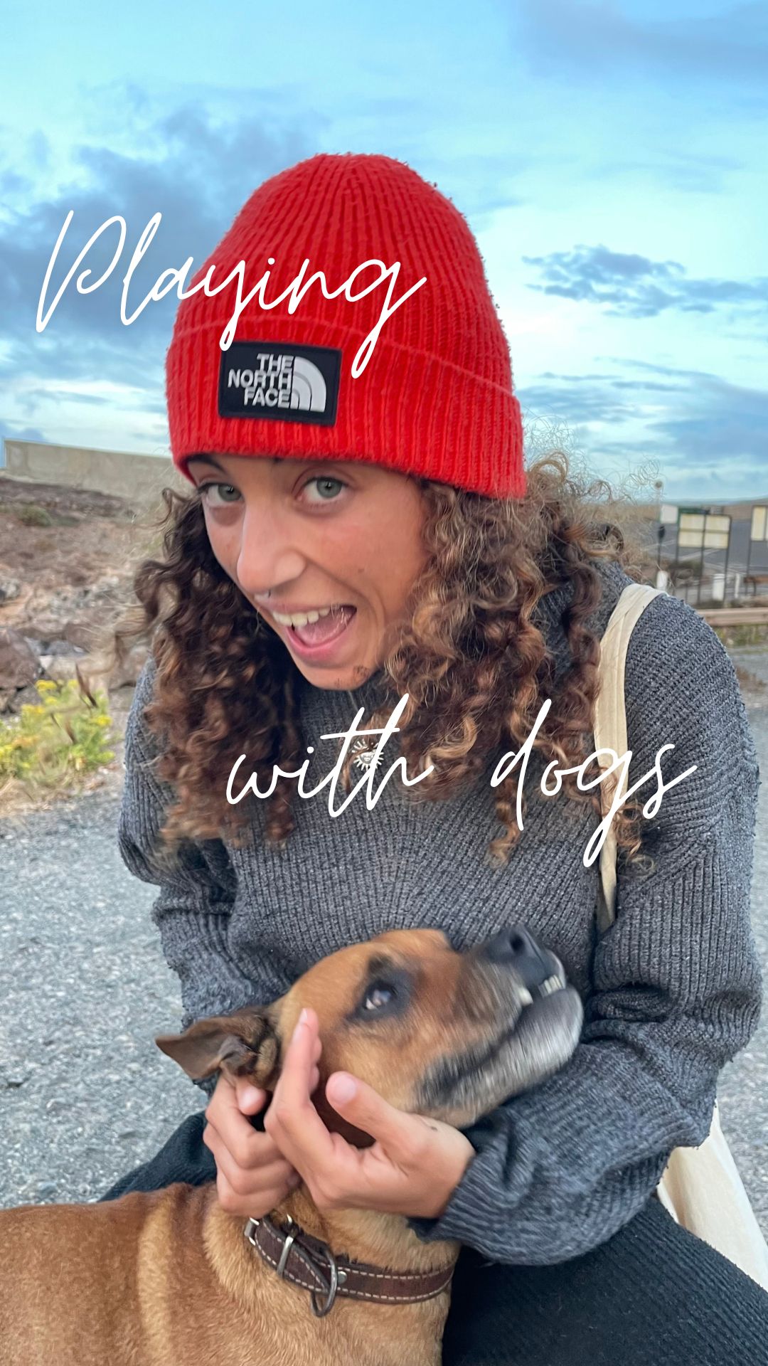 Playing with dog
